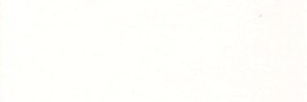 iamcindyr__ Profile Banner
