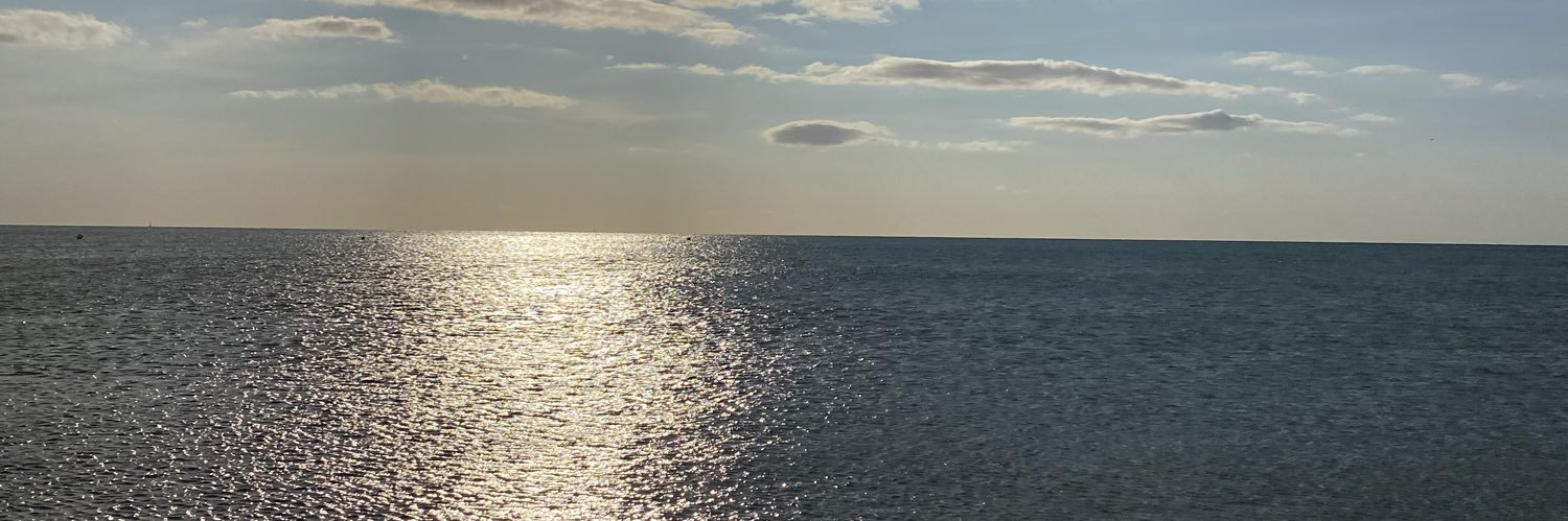 *** banner