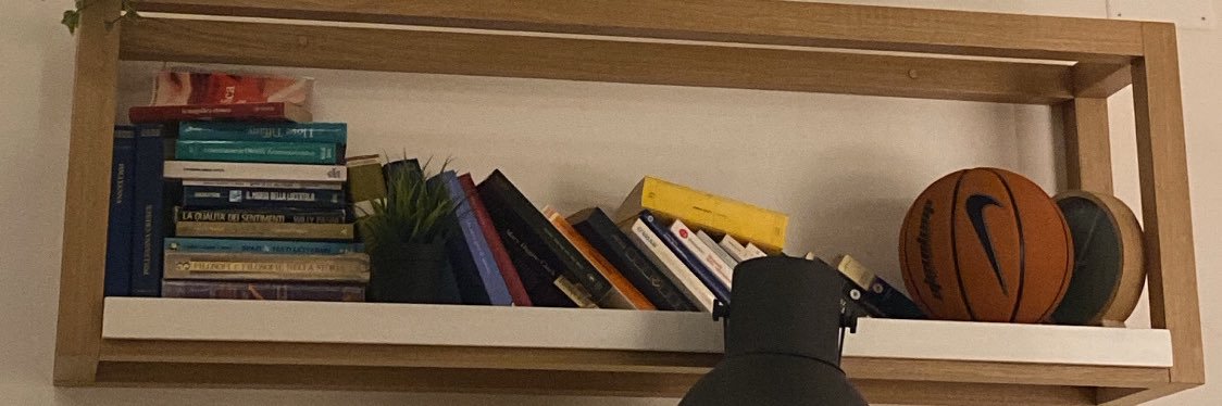 Frajs banner