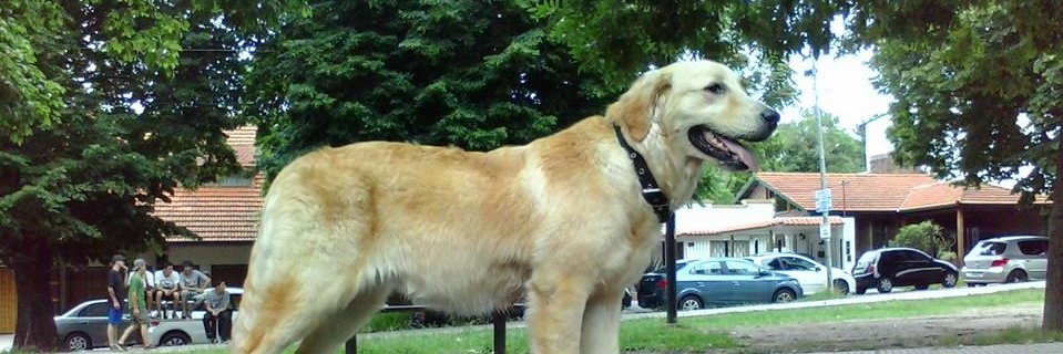 Matty_Profe's profile banner image