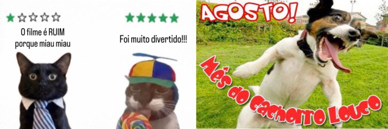 marijacare's profile banner image
