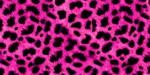 Delcy_G's profile banner image