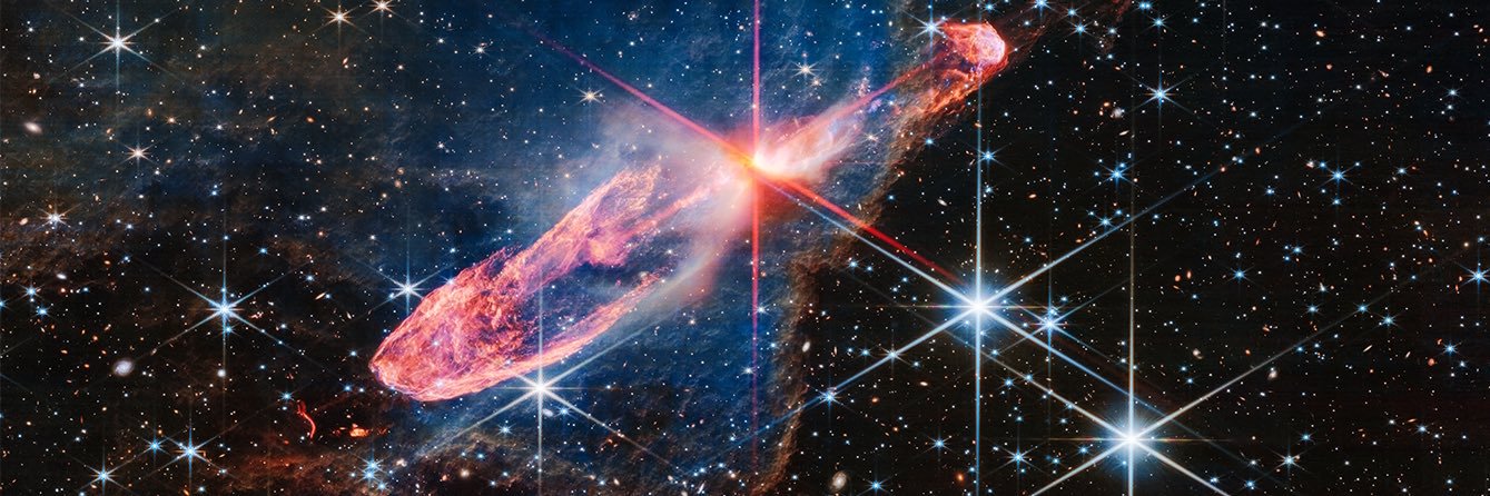 Vicious Pinkee 💎 banner