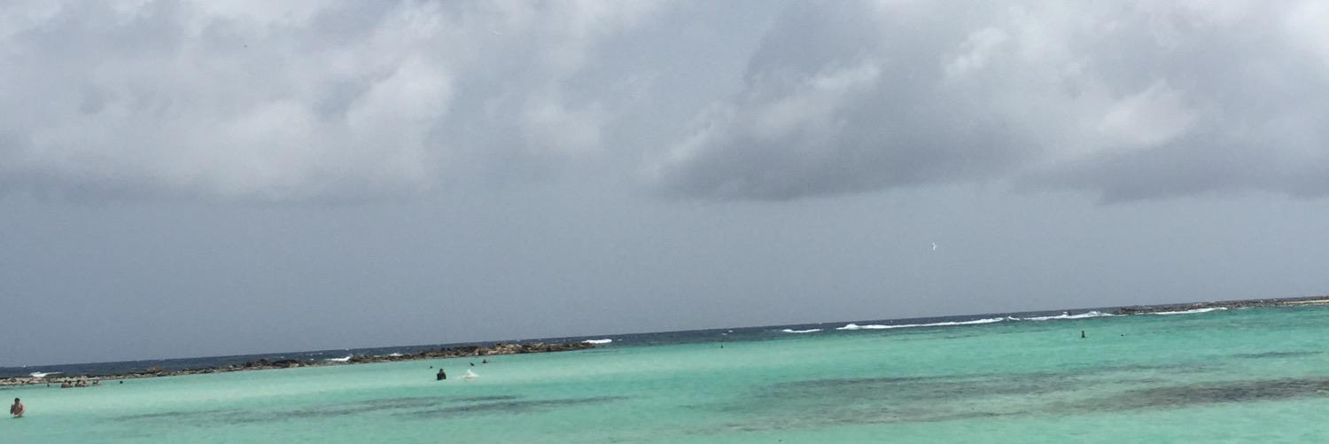 erinnpanec's profile banner image