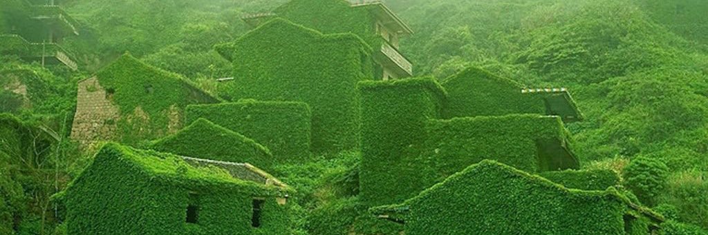 Stef van Wickeren banner