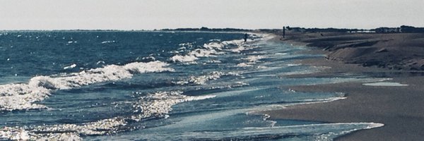 moroni_chiara Profile Banner