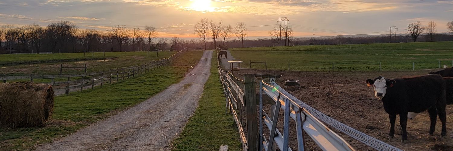 Ryan Cooper ⚡️⚖️ banner