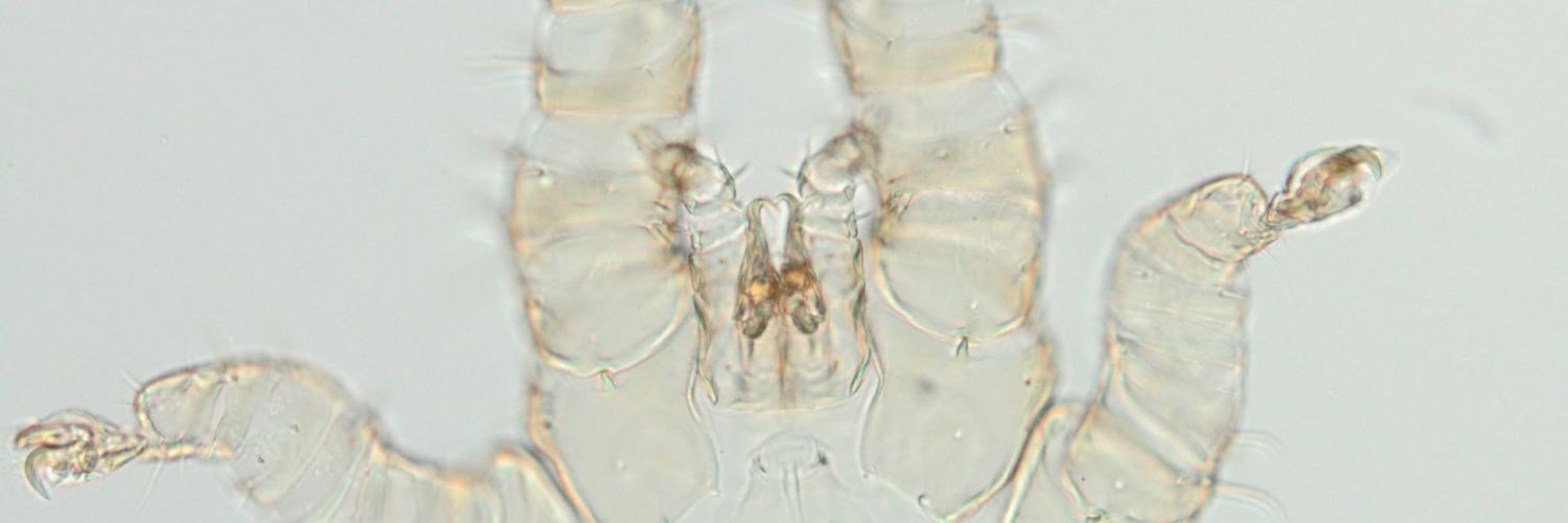 Generiki's profile banner image
