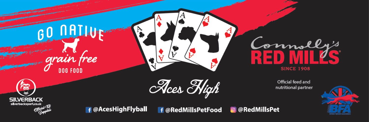 AcesHighFlyball's profile banner image