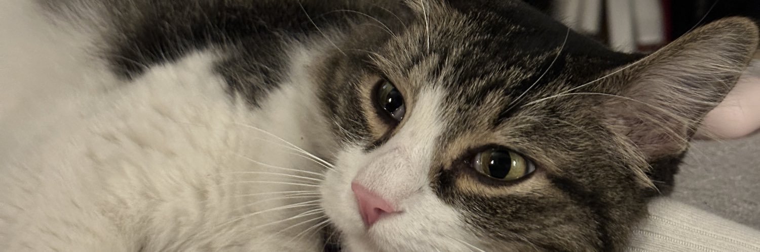 geocontrerasp's profile banner image
