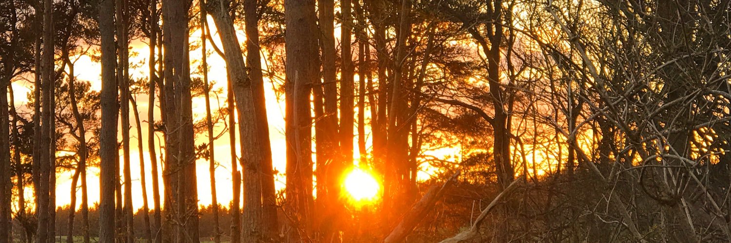 northernsnippet banner