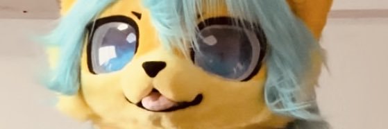 Jamie Paws banner