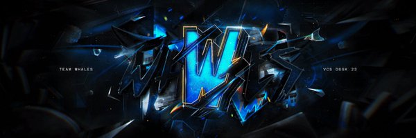 MeansLoL Profile Banner