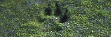 Zooble | EP 7 SPOILERS banner