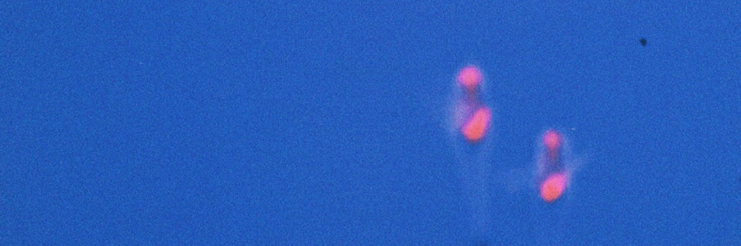 Riku banner