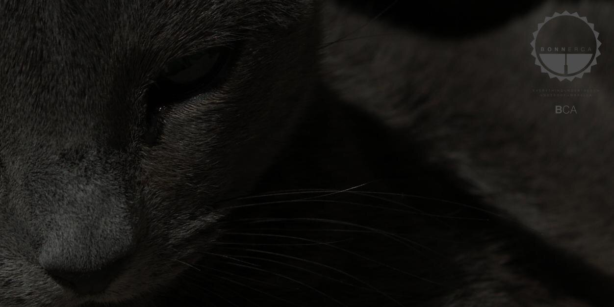 realone's profile banner image
