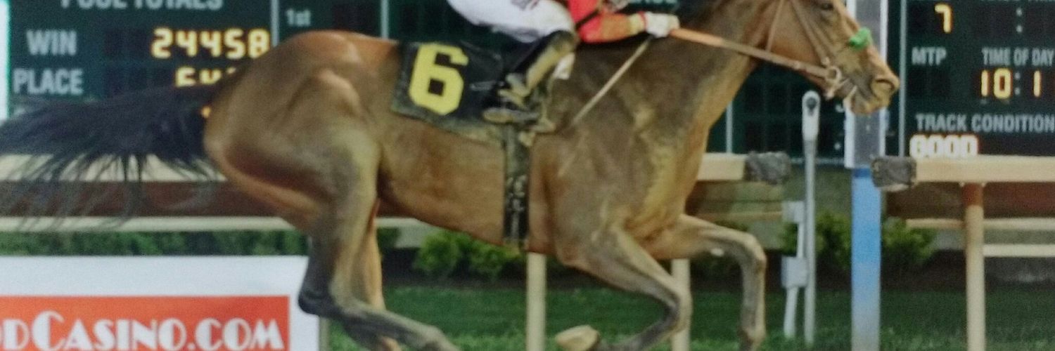 Following Trend banner