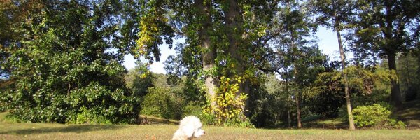 sarahanne_news Profile Banner