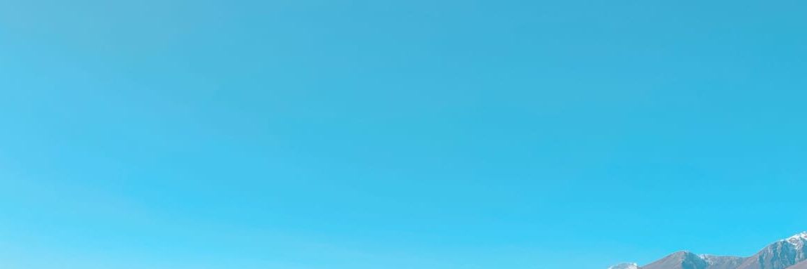 lins banner