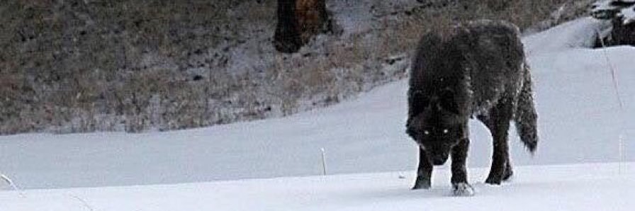 _billszn's profile banner image