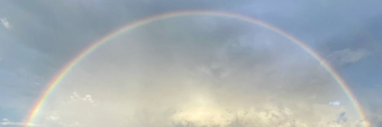 Bağımsız Şizofren banner