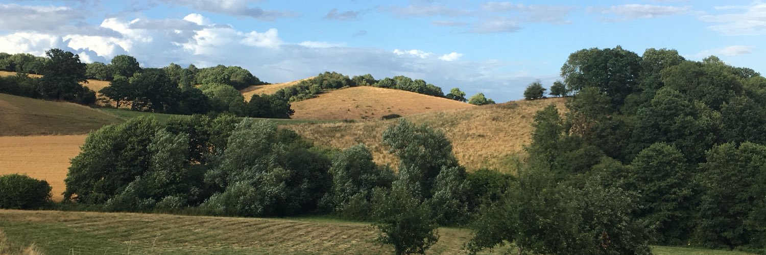 OverdineFarm's profile banner image