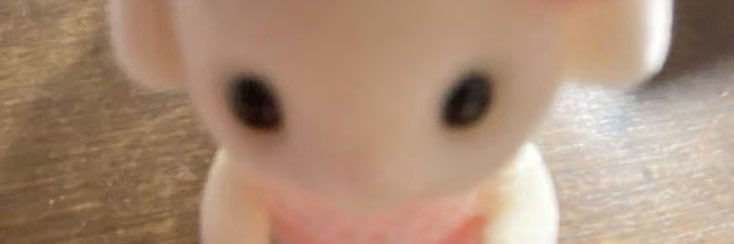 牛奶兔（发奋版 banner