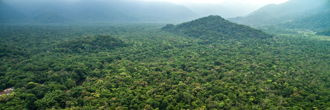 Restore Our Planet banner