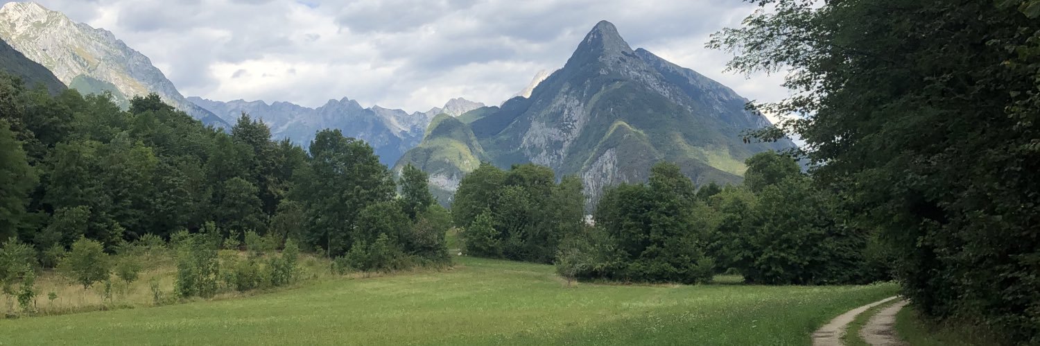 Taylor Fulton-Ward banner