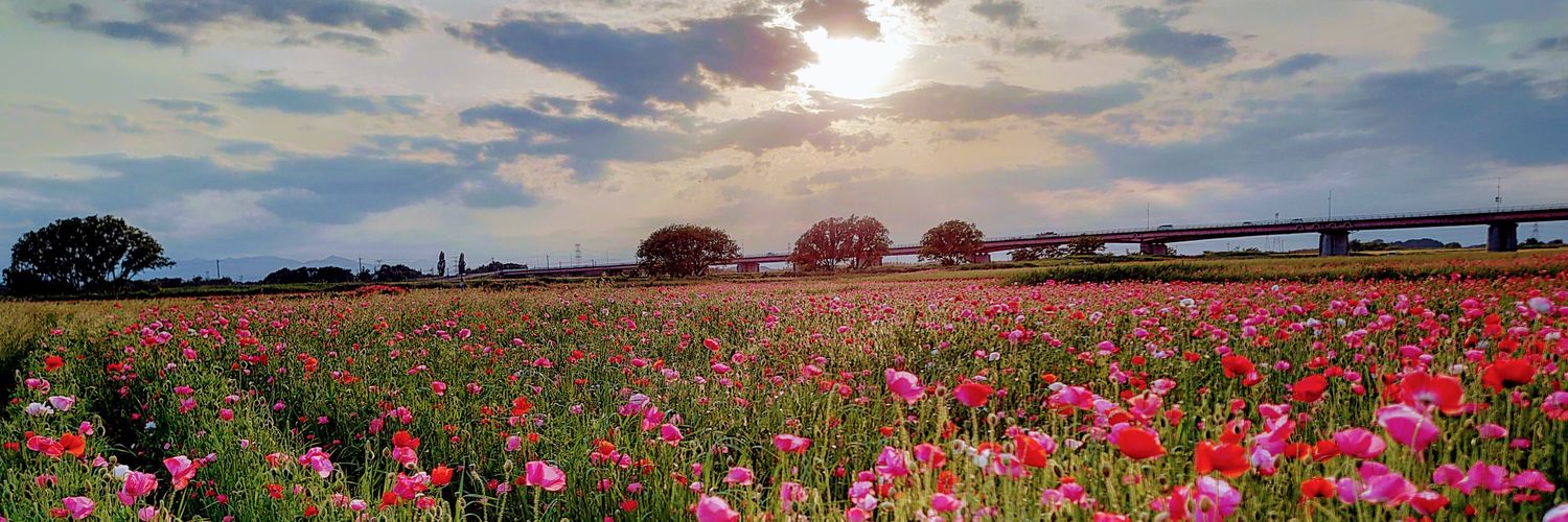 keigo2412's profile banner image