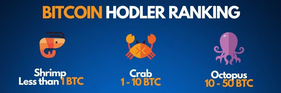 比特币区块链那些事 banner