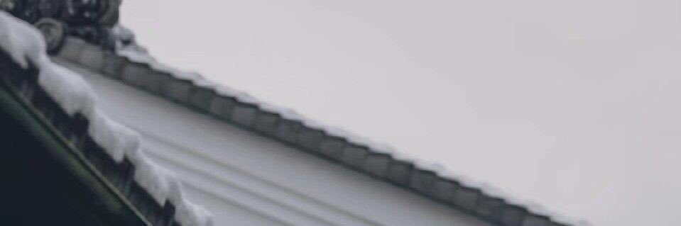 TTTTT banner