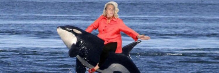 jakobgran's profile banner image
