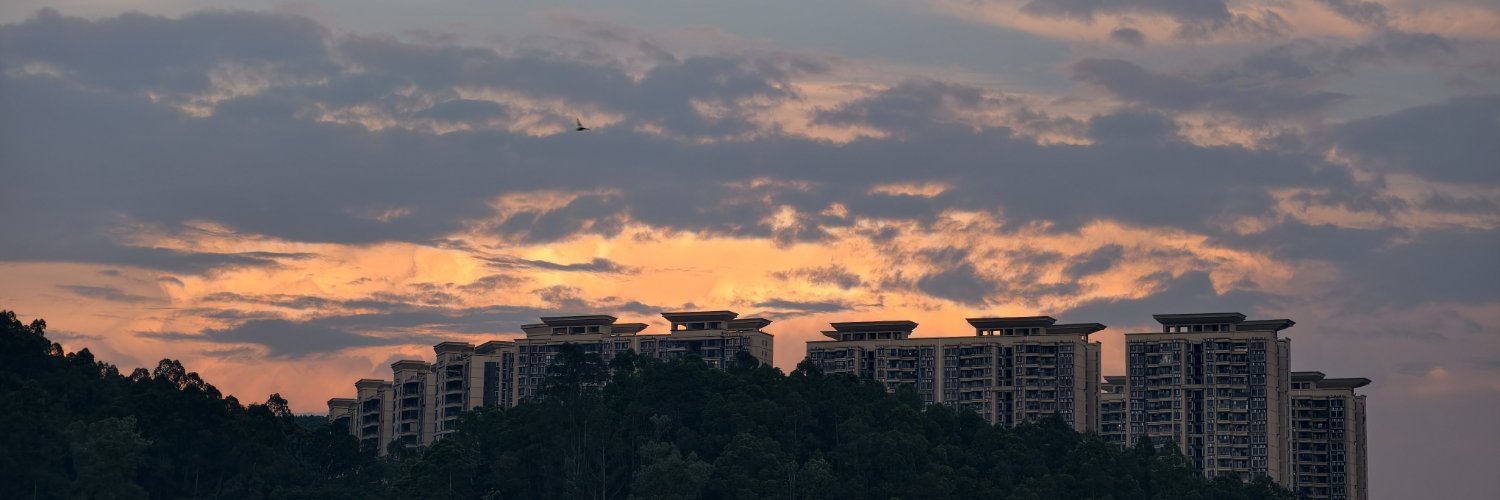 FuBanSheng0212's profile banner image