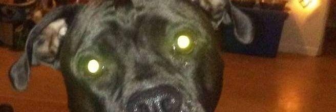 realSHINER's profile banner image