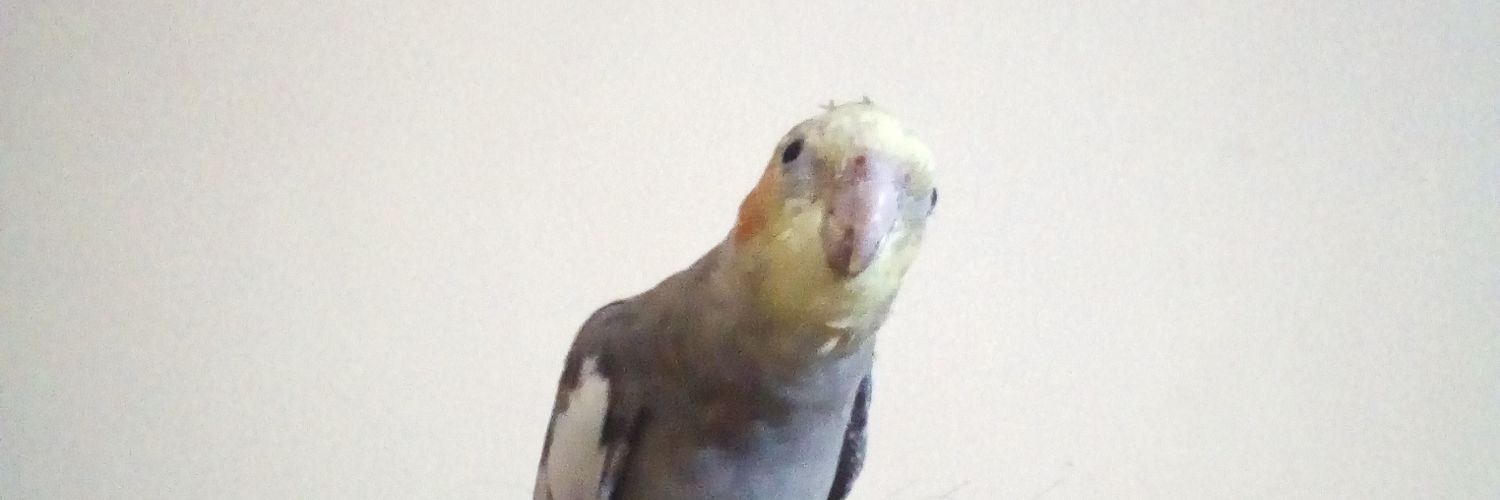 bagusherdiaans's profile banner image