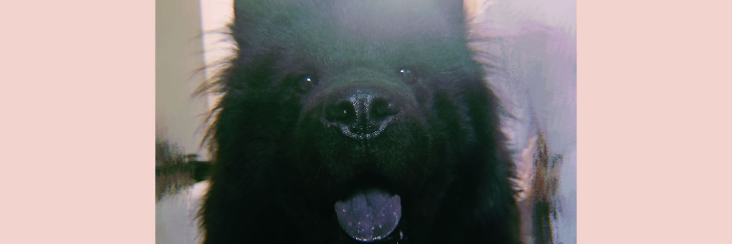 joabeybii's profile banner image