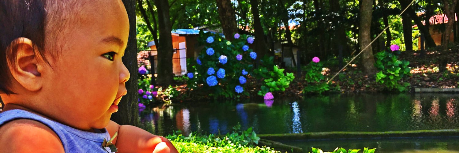 rinazo0618's profile banner image