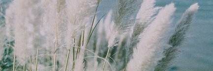 lovingenha_'s profile banner image