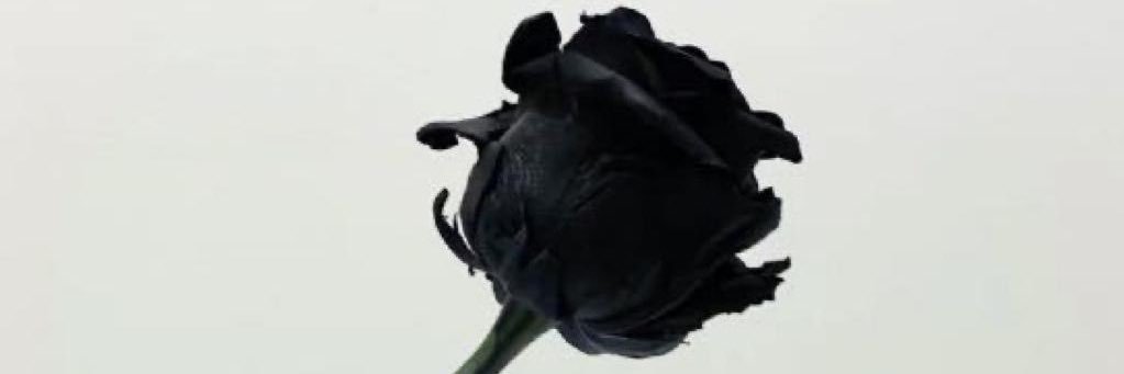 EbvsBi's profile banner image