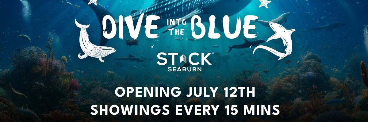 tinydragonproductions banner