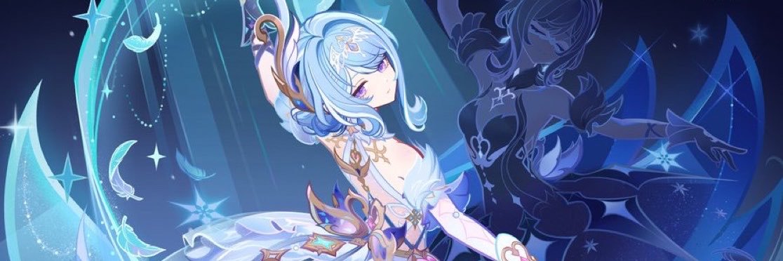 furinologist's profile banner image