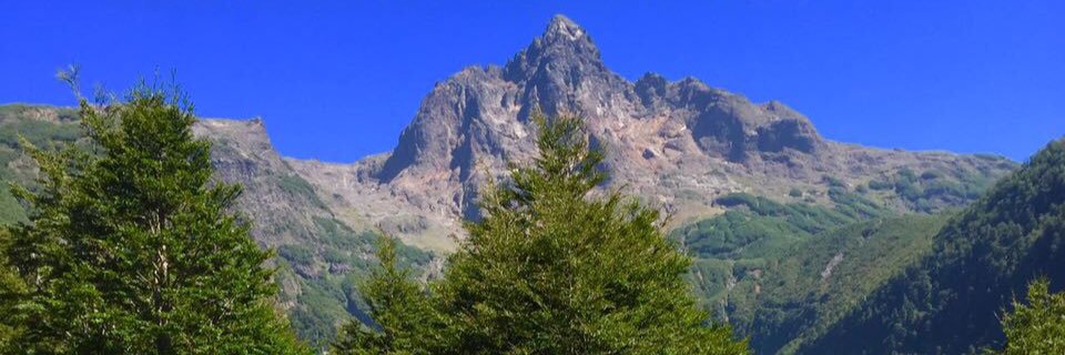 AmayiraCoach's profile banner image