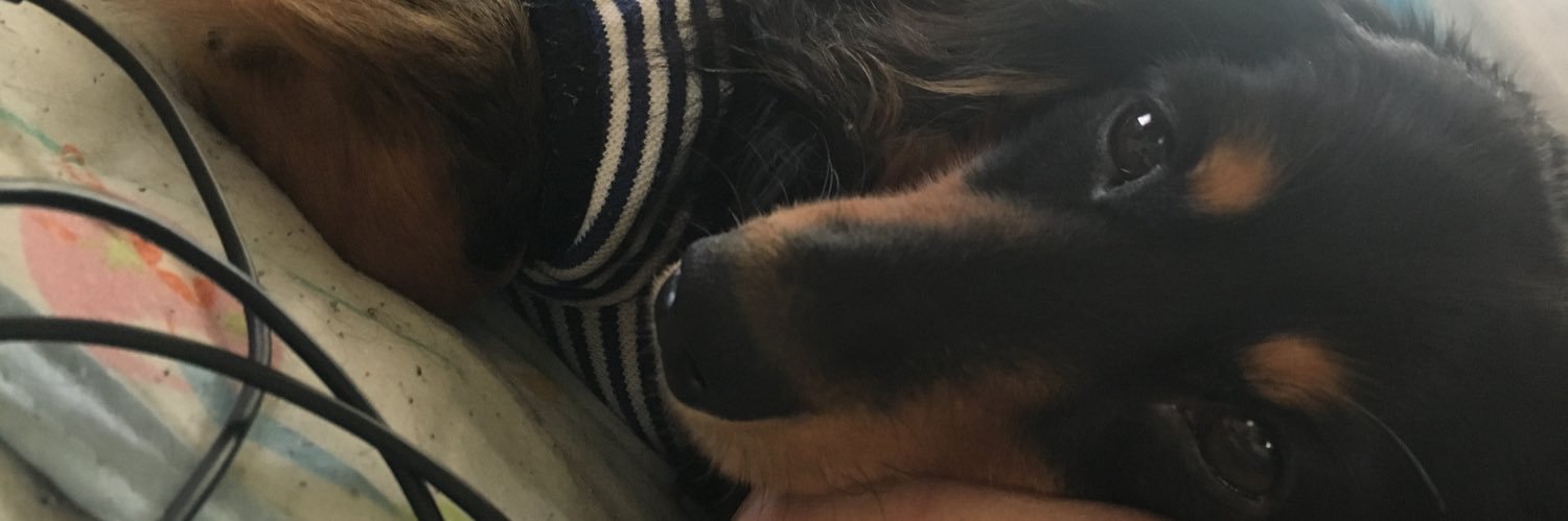 chibitama7's profile banner image