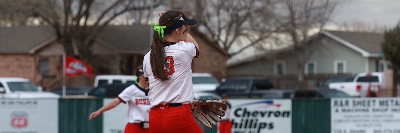 Emilee Bridges banner