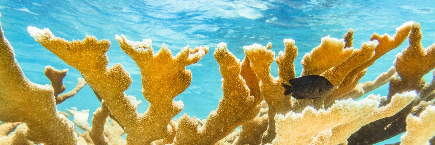 Dr. Matt Ware banner