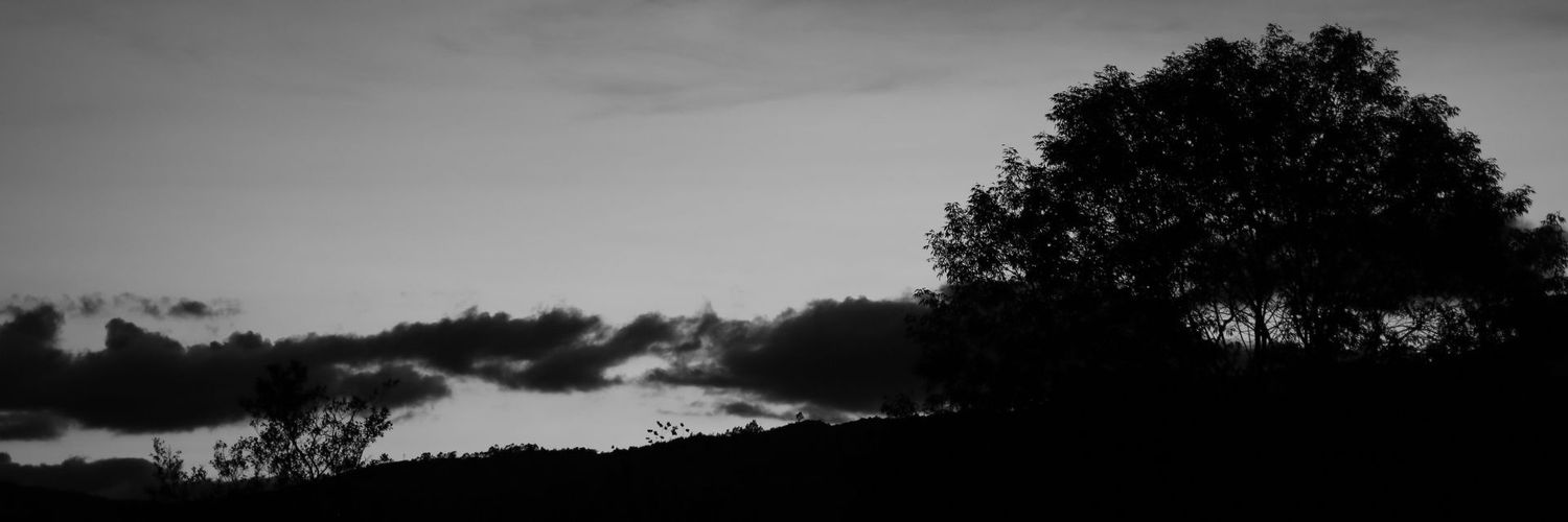 mariofc96's profile banner image
