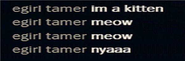 egirltamer Profile Banner