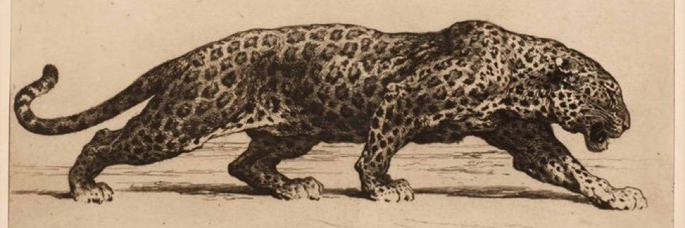 Vinotinter🇻🇪 banner