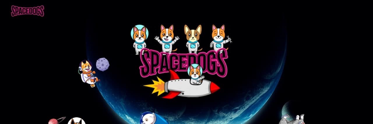SpaceDogs banner